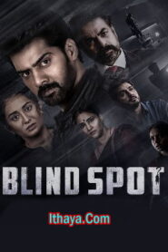 Blind Spot (2025) DVDScr Telugu Full Movie Watch Online Free