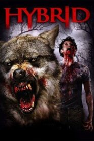 Hybrid (2007) HDRip Telugu Dubbed Full Movie Watch Online Free