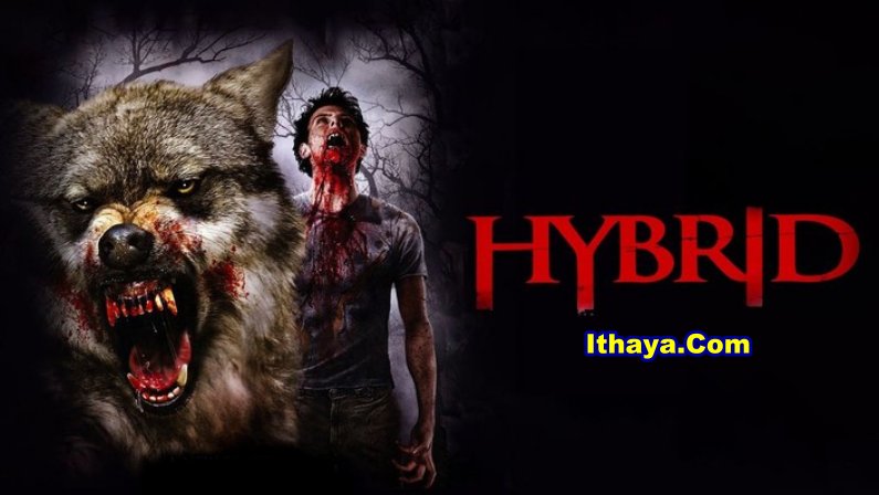 Hybrid (2007) HDRip Telugu Dubbed Full Movie Watch Online Free