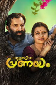Naalppathukalile Pranayam (2026) HDRip Malayalam Full Movie Watch Online Free