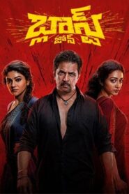 Blast Zone (2026) DVDScr Telugu Full Movie Watch Online Free